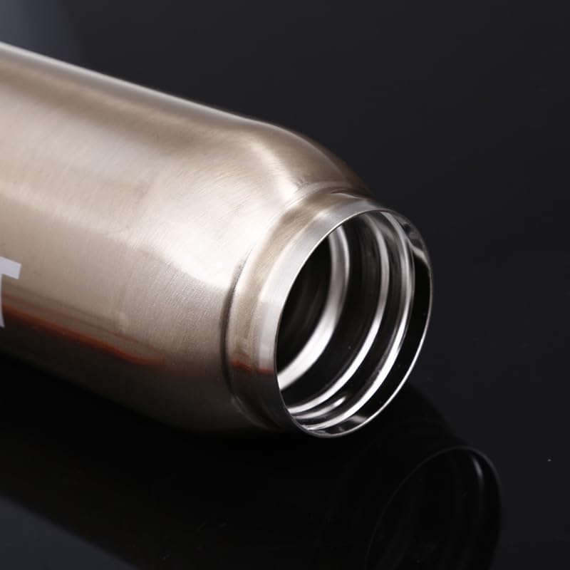 Sport Stainless Steel Vacuum Insulated double wall Water Bottle – Needs ...