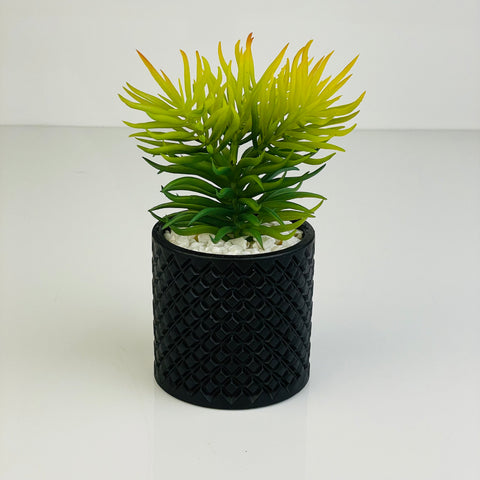 Elegant Black Planter Pot