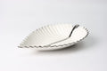 Elegant  Porcelain Leaf Platter Dish