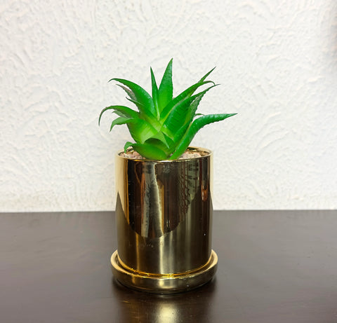 Golden Ceramic Planter Pots