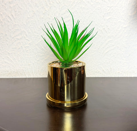Golden Ceramic Planter Pots