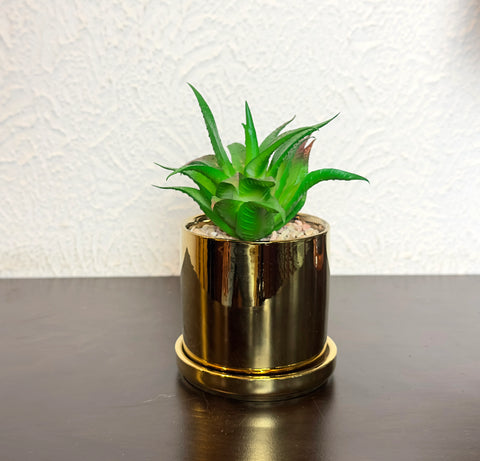 Golden Ceramic Planter Pots
