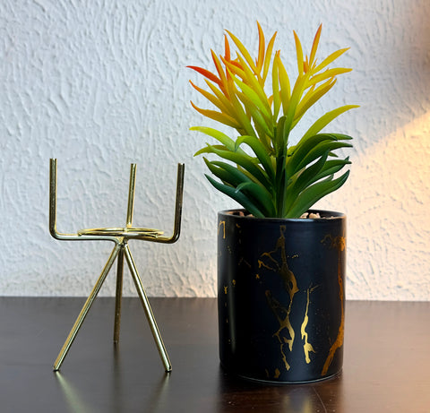 Black Ceramic Planter Pot with Stand