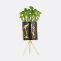 Black _ Gold Indoor Table Planter Needs Store