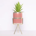 Bohemian Style Flower Pot With Plant For Table Top Vanity Needs Store