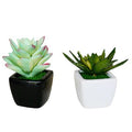 Ceramic Decorative Planter - Set of 2 - Needs Store