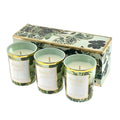 Classic Flower Scented Candle-Set of 3 Glass Candles-Needs Store