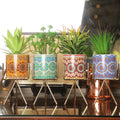 Beautiful table top planter pots Needs Store