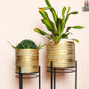 Floor Standing Metallic Planters | Indoor Balcony Planters | Home Décor