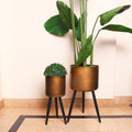 Floor Standing Planter Pot with Tripod Stand | Indoor Balcony Pots | Home Décor - Needs Store