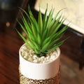Gold Base Flower Pot With Plant For Table Top - Agave - Needs Store