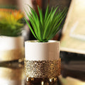 Gold Base Flower Pot With Plant For Table Top - Skyplant - Needs Store