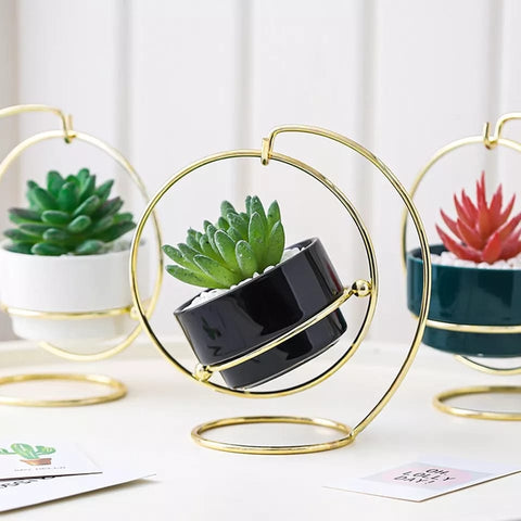 Modern Succulent Pots with Iron Stand - Flower Pot - Needs Store