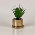 Nordic Ceramic Succulent Plant - Flower Pots - Desktop Decoration Ornament - Needs Store