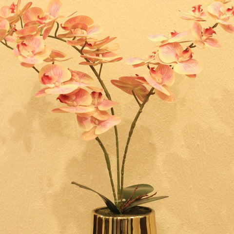 Orchid Flower Arrangement In Ceramic Vase | Indoor Flower Pots - Needs Store
