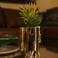 SET of 2 Gold Flower Pot With Plant For Table Top | Vanity - Agave & Skyplant - Needs Store