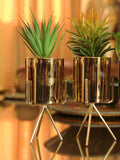 SET of 2 Gold Flower Pot With Plant For Table Top | Vanity - Agave & Skyplant - Needs Store