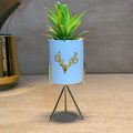 White Reindeer Pot With Plant For Table top | Desk | Vanity | Home Décor - Aloe Vera - Needs Store